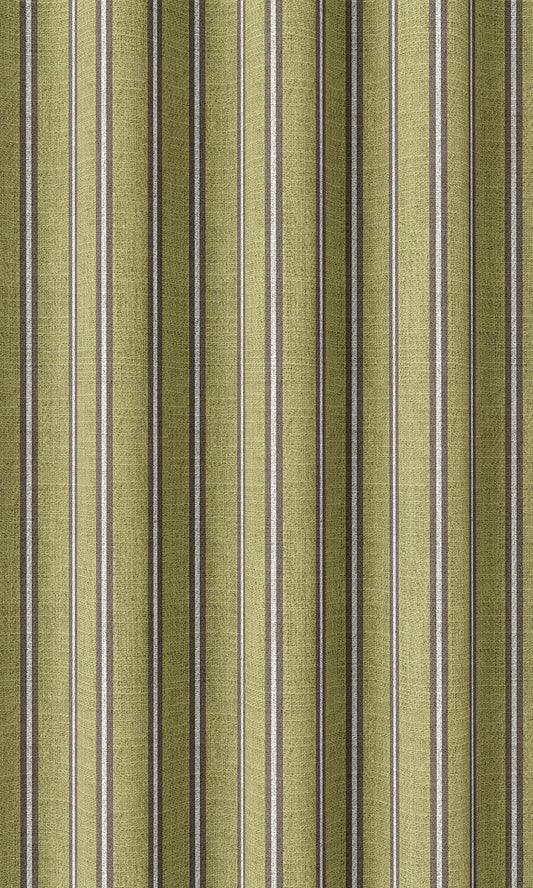 Striped Print Shades (Chartreuse Green/ Brown)